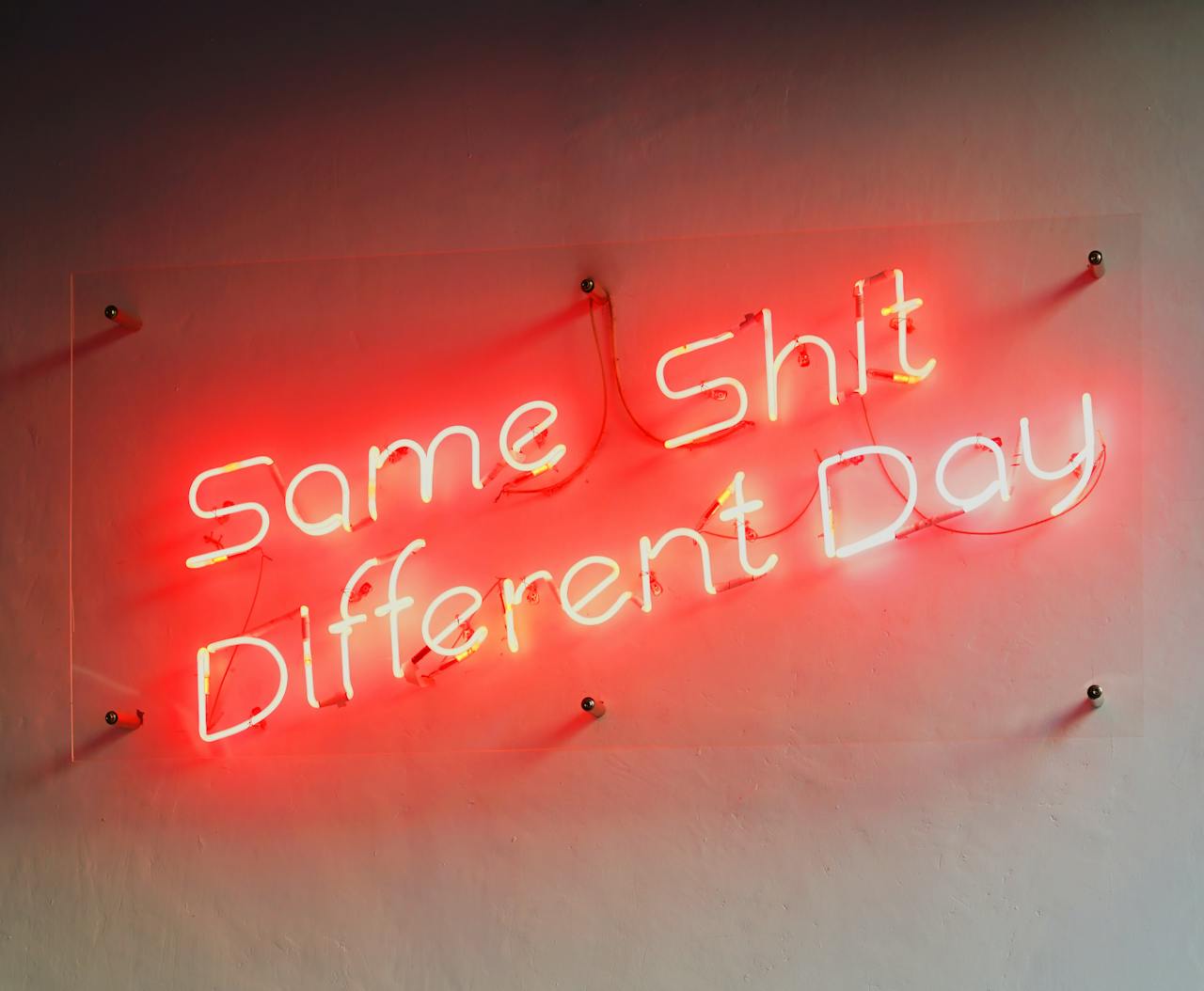 Red neon sign displaying a humorous quote, perfect for modern interiors and unique decor