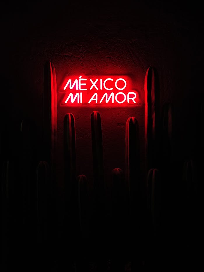 Vibrant red neon sign glowing against a dark wall with text u0022México Mi Amoru0022.